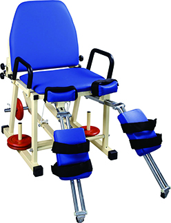 Hammer Type Hip Training Chair.jpg