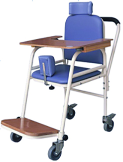 Child Safety Chair.jpg